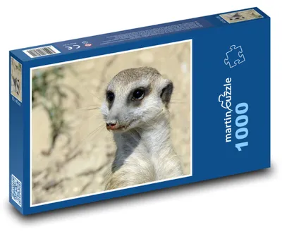 Obrázek produktu pro Puzzle 1000 Surikata v zoo - martinpuzzle