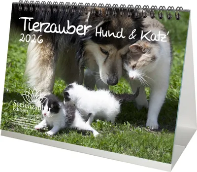 Produktbild von Tierzauber Hund und Katz DIN A5 Tischkalender für 2026 Freundschaften Hund Katze - Seelenzauber