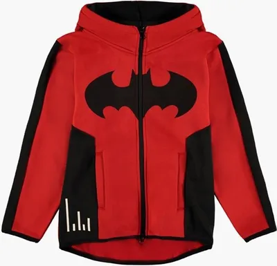Produktbild von Warner - Batman Boys Tech Hoodie