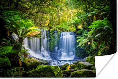 Produktbild von MuchoWow® Poster Dschungel - Wasserfall - Australien - Pflanzen - Natur 180x120 cm - Fotoplakat