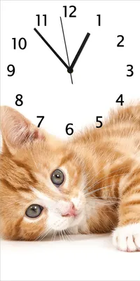 Produktbild von Wallario Design Wanduhr bedruckt, Größe 30 x 60 cm, Motiv: Süße Katze mit großen Augen - rot weiß getigert