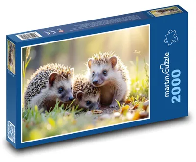 Obrázek produktu pro martinpuzzle - Puzzle 2000 - Rodina ježků