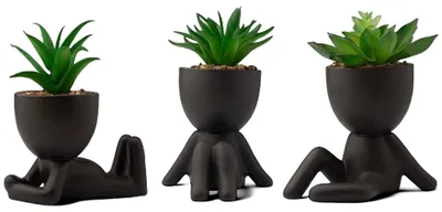 Imagen del producto de Omgoods - Juego de 3 suculentas de porcelana en macetas