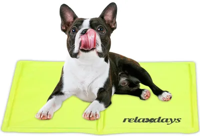 Zdjęcie produktu dla mata chłodząca dla psów relaxdays Green
