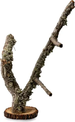 Immagine prodotto di Albero BioBranch 50 cm in sughero