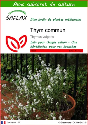 Image de SAFLAX  - Thym commun - 200 graines - Avec substrat - Thymus