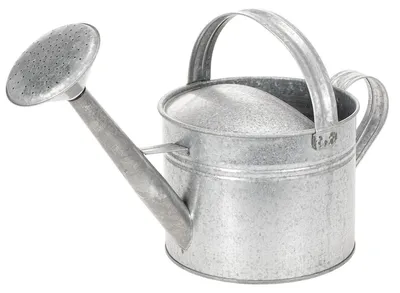 Produktbild von Deko-Gießkanne aus Zink für Garten und Pflanzenarrangements
