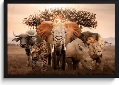 Produktbild von MuchoWow® MuchoWow® Gerahmtes Poster Tiere - Elefant - Löwe 60x40 cm - Poster mit zchwarzem Bilderrahmen - Printing - Wanddeko Schlafzimmer