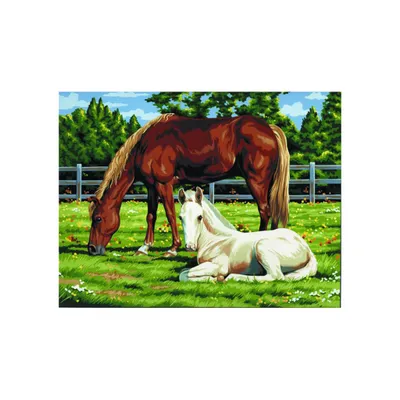Productafbeelding van Royal & Langnickel schildersdoek, formaat A3, afbeelding: paarden op de weide