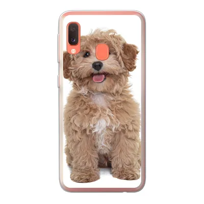 Produktbild von MuchoWow® Handyhülle Schutzhülle Hülle für Samsung Galaxy A20e Hund - Haustiere - Fell Silikon Softcase Handy Hülle - Abdeckung