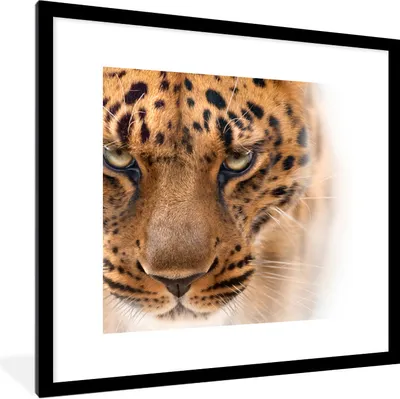 Produktbild von MuchoWow® Gerahmtes Poster Leopard - Porträt - Augen 40x40 cm - Poster mit Schwarzem Bilderrahmen Wandposter Rahmen Foto Bilder - Poster - Plakat im Rahmen
