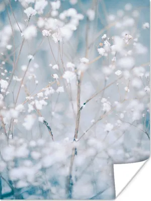 Produktbild von MuchoWow® Poster Äste - Schnee - Winter - Natur - Botanisch 90x120 cm - Wohnzimmer
