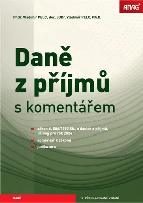Image de Daně z příjmů s komentářem 2024