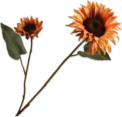 Produktbild von Silk-ka Kunstblume - Seidenblumenzweig orange 75 cm