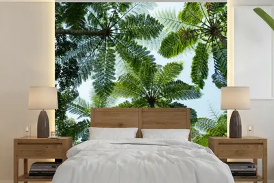 Produktbild von MuchoWow® Fototapete für Wohnzimmer oder Schlafzimmer Wandtapete Vinyl Motivtapete Bäume und Blätter im Dschungel - 220x220 cm - Tapeten