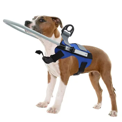 Produktbild von Hundegeschirr für Blindenhunde, Sicherheitsgeschirr mit Stoßschutzring, Verstellbar, Elastischer Schaumstoff & Kunststoff