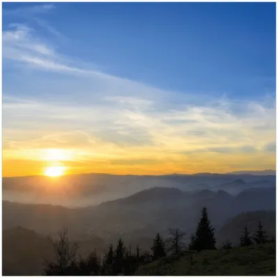 Produktbild von Wallario Memoboard Magnettafel aus Glas, Größe 50 x 50 cm, Motiv Sonnenaufgang über dem Schwarzwald