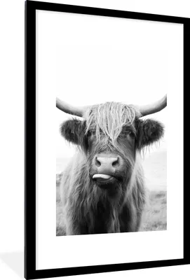 Produktbild von MuchoWow® Gerahmtes Poster Tiere - Schottischer Highlander - Kuh - Schwarz - Weiß 60x90 cm - Poster mit Schwarzem Bilderrahmen Wandposter Rahmen Foto Bilder - Dekoration - Wandposter Wohnzimmer - Hochwertig