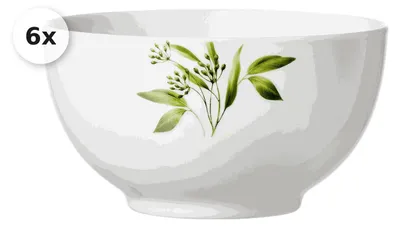 Produktbild von Müslischale 600ml 6er Set Evora