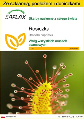 Zdjęcie produktu dla SAFLAX - Zestaw do uprawy - Rosiczka - 200 Nasiona - Z mini szklarnią, podłożem uprawowym i 2 doniczkami - Drosera capensis