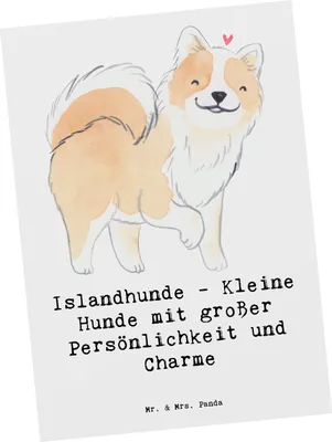 Produktbild von Mr. & Mrs. Panda Postkarte Charme Islandhund - Weiß - Geschenk, Postkarten, Motivkarte, Freude im Leben, charmante Hunde, Grußkarte, Hunderassen Beschreibung, einzelkarte