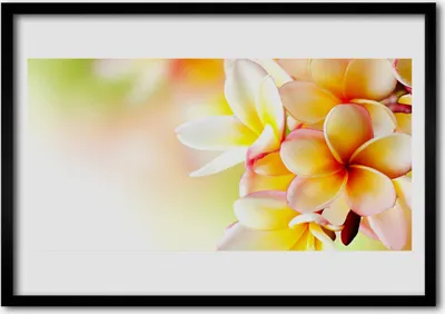 Produktbild von Bild 100x70 MDF-Rahmen Wandkunst Blumen Pflanzen Natur
