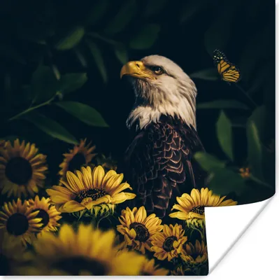 Produktbild von MuchoWow® Poster Adler - Gelb - Blumen - Botanisch 50x50 cm - Wohnzimmerdekoration