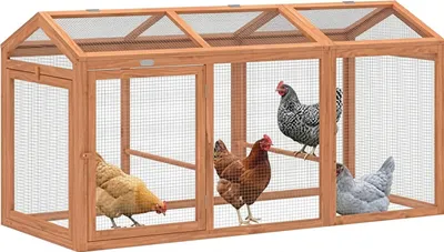 Produktbild von Hühnerstall 156x70,5x84 cm Freilaufgehege Holz, Sitzstange, 4 Hühner, Orange