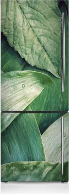 Produktbild von Kühlschrankmagne Kühlschrank Aufkleber Magnetfolie Dekoration 60x180 cm - Grüne Blätter