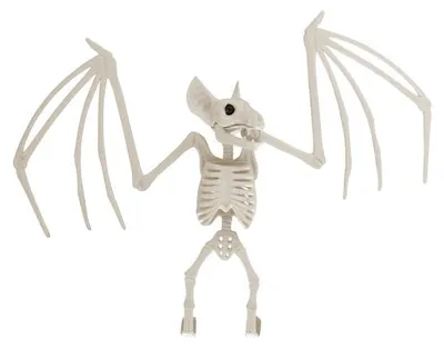 Productafbeelding van Amscan Halloween plastic skelet Vleermuis