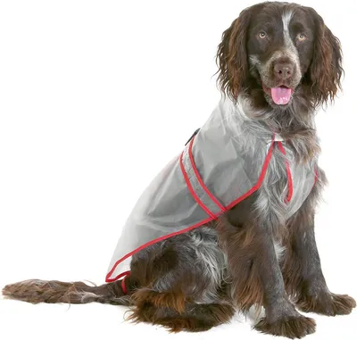 Immagine prodotto di Impermeabile in PVC per cani 30cm KAR