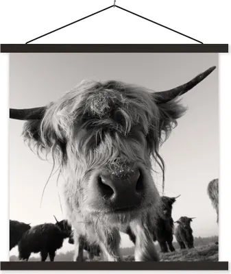 Produktbild von MuchoWow® Textilposter Schottisches Hochlandrind - Schwarz - Weiß - Tiere 60x60 cm mit schwarzem Rahmen - Posteraufhänger