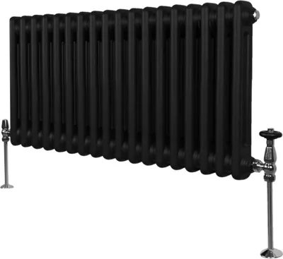 Zdjęcie produktu dla Tradycyjny grzejnik 2-kolumnowy - 300 x 832 mm - Czarny