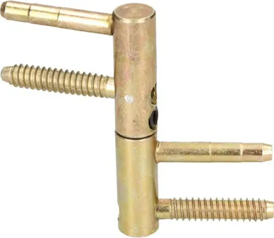 Produktbild von KOTARBAU® Einbohrband 14 mm Messing Universal Türscharnier Haustürband Robust Zargenband Futtertüre Hohe Tragkraft Zylinderkopf Verstellbar