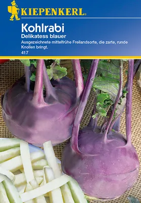 Artikelbild 1 von 'Kohlrabi Delikatess blauer' aus der Kategorie Kohlrabisamen