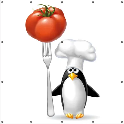 Produktbild von Wallario Outdoor-Poster für Garten oder Balkon, Motiv Pinguin Koch, in ca. 180 x 180 cm