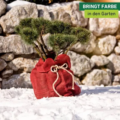 Produktbild von Roter Jute-Sack 70x100cm zur Lagerung von Kartoffeln, Zwiebeln oder als Geschenksack