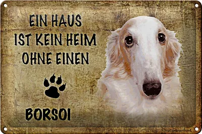 Produktbild von Blechschild Borsoi 30x20cm Haus ist kein Heim ohne