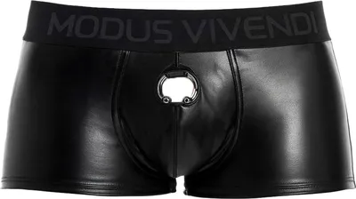 Image de MODUS VIVENDI Prince Albert Bottomless Boxer - 1x Taille S