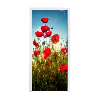 Obrázek produktu pro MuchoWow® Plakát na dveře - Vlčí máky - Toskánsko - Slunce - Červená - Modrá - 205x85 cm - Samolepicí fólie na dveře