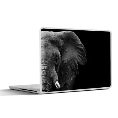 Produktbild von MuchoWow® Laptop Aufkleber Sticker Cover Tiere - Elefant - Wild - Schwarz - Weiß 31x22.5 cm - Laptop-Deko