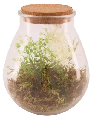 Zdjęcie produktu dla Wazon szklany z sztuczną rośliną Ø19,5x23,5 cm