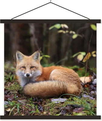 Produktbild von MuchoWow® Textilposter Fuchs - Wald - Tier 90x90 cm mit schwarzem Rahmen - Magnetisches
