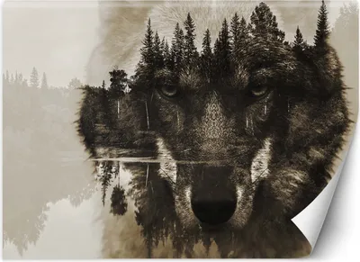 Produktbild von Vlies fototapete Wolfswald im Nebelsee 200x140 cm Feeby Braun inkl. Kleber einfache Montage