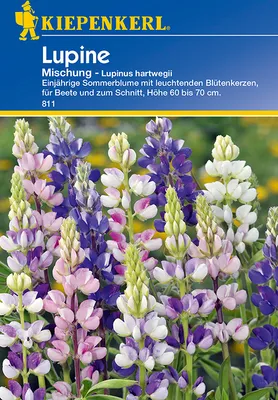Artikelbild 1 von 'Lupine Mischung' aus der Kategorie Lupinensamen