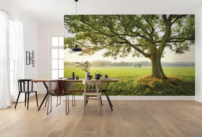 Produktbild von Komar Vlies Fototapete "The Magic Tree" - Größe: 450 x 280 cm (Breite x Höhe) - 9 Bahnen