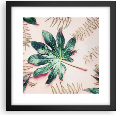 Produktbild von Gerahmtes Poster - Schwarzer Rahmen - Blatt Tropisch Palme - 30x30 cm - Wand Bild - Wanddeko - Wandbilder - Kunstposter - Wandposter - Bilderrahmen - Bilder - Kunstdruck - Wandbild - P2BAC30x30-4314