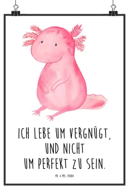Produktbild von Mr. & Mrs. Panda Bild Axolotl Niedlich DIN A4 - Weiß - Geschenk, Liebe, Weisheit, Freundin, Wandbild, wanddeko, Lebensweisheit, Zufrieden, Kunstdruck, Wanddekoration