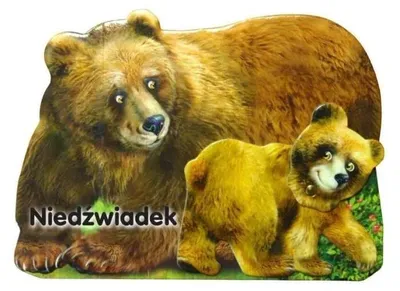 Obrázok produktu pre Niedźwiadek LIWONA - Rafał Wejner