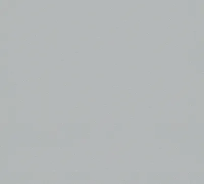 Obrázek produktu pro A.S. Création Vliestapete MeisterVlies 5 die glatte Wand grau 10,05 m x 0,53 m 309136